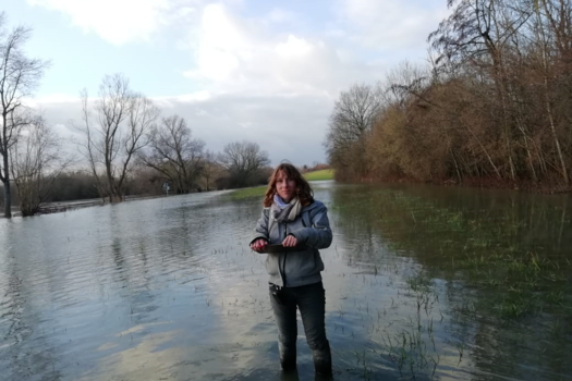 Etude Brochet Aisne - avancement mars 2021