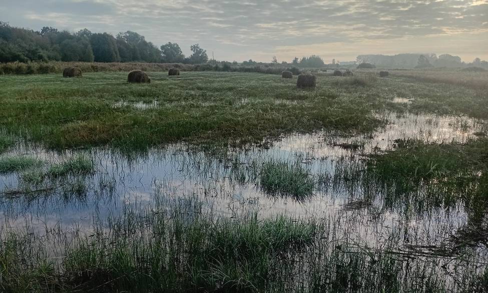 Etude RNN Vesles-et-Caumont