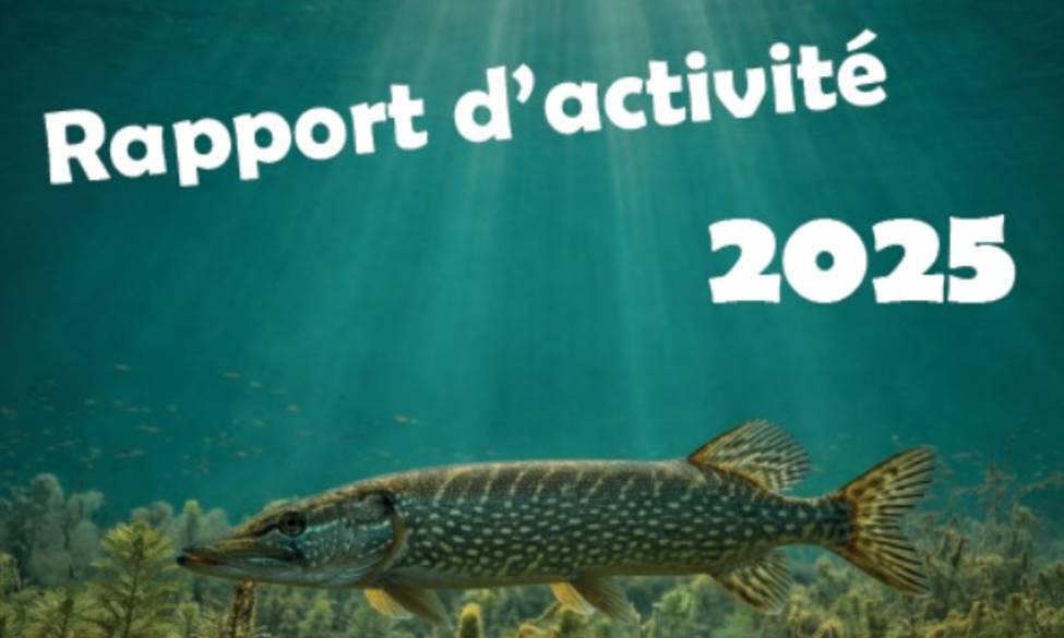 Rapport d'activité 2025