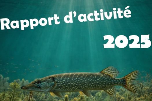 Rapport d'activité 2025