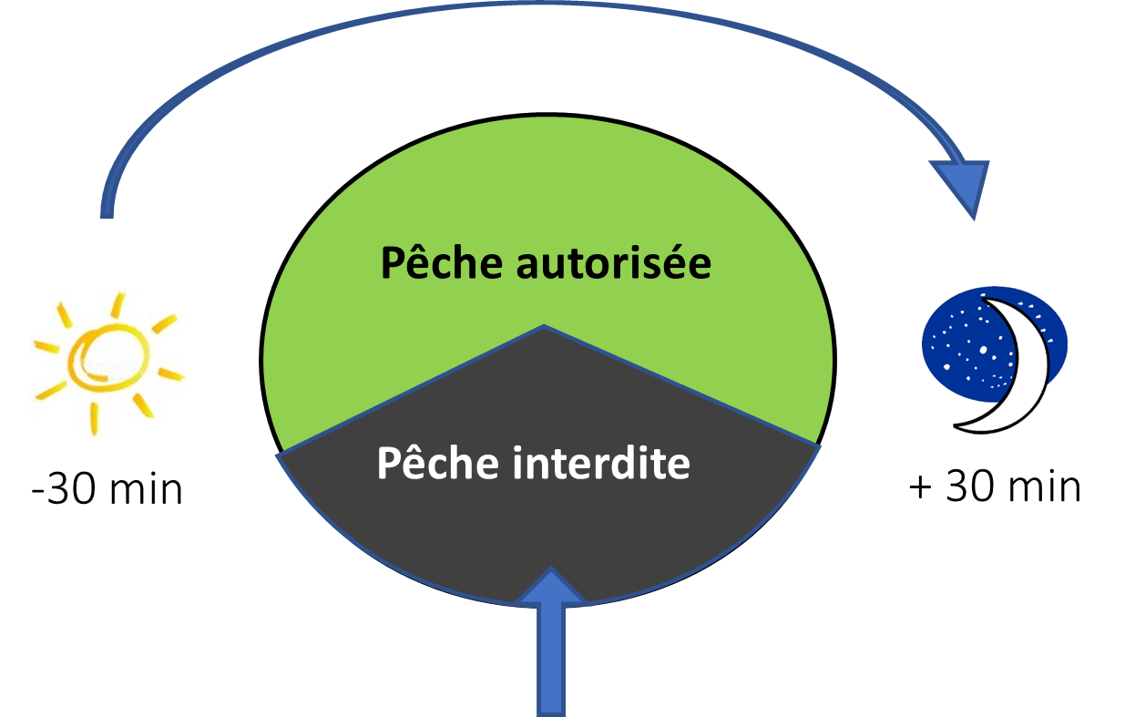 Pêche à l'aimant : informations réglementaires - Fédération de