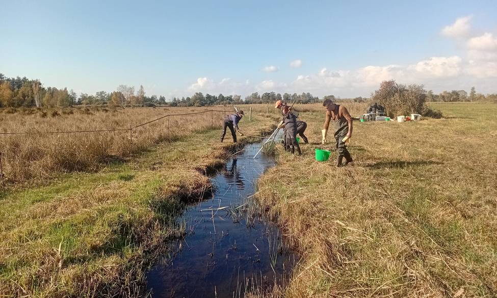 Etude RNN Vesles-et-Caumont