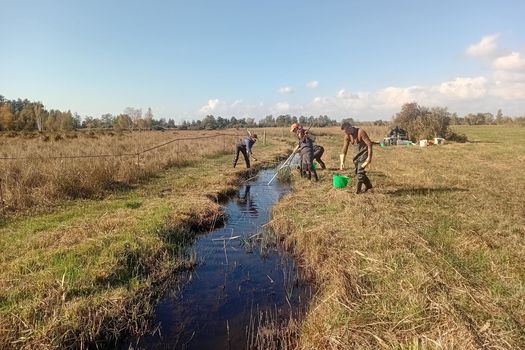 Etude RNN Vesles-et-Caumont