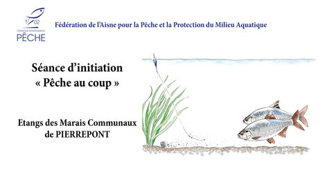 APN fédéral itinérant